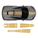 Racing Stripes Over The Top, for Corvette C8 2021 - 2025