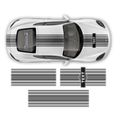 Curved Martini Decals set, for Cayman from 2005