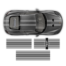 Curved Martini Decals set, for Cayman from 2005