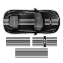 Curved Martini Decals set, for Cayman from 2005