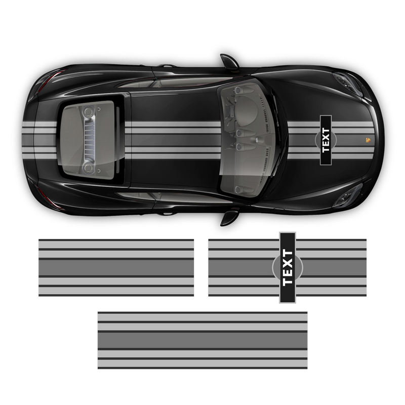Curved Martini Decals set, for Cayman from 2005