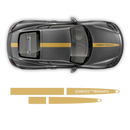 Racing Decals set in one color, Cayman / Boxster 2005 - 2020