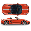 Racing Decals set in one color, for Spyder 2005 - 2020