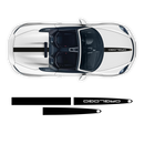 Racing Decals set in one color, for Spyder 2005 - 2020