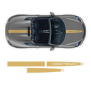 Racing Decals set in one color, for Spyder 2005 - 2020