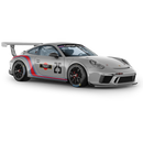 Curved Martini Side Stripes Graphic, for Carrera 996/997/991/992