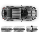 Scratched Martini Racing Stripes, Carrera 1999 - 2023
