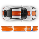 GULF Le Mans Scratched Racing Stripes set, Carrera 1999 - 2023