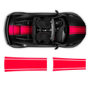 One Color Stripes Over The Top, for Audi R8 / R8 Spyder Decals - autodesign.shop