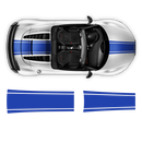 One Color Stripes Over The Top, for Audi R8 / R8 Spyder Decals - autodesign.shop