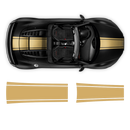 One Color Stripes Over The Top, for Audi R8 / R8 Spyder Decals - autodesign.shop