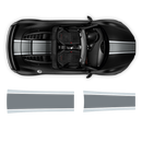 Two Colors Stripes Over The Top, for Audi R8 / R8 Spyder