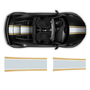 Two Colors Stripes Over The Top, for Audi R8 / R8 Spyder