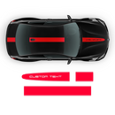 Racing Stripes ( top & sides ), for BMW M3 / M4 / M5