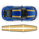 Contoured R Stripes Over The Top, Carrera