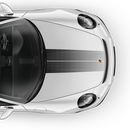 Faded Exclusive Series Double Stripes Over The Top, Carrera 2005 - 2019 black