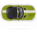 Bold Racing Stripes, MB AMG GTS yellow black