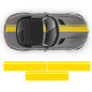 Bold Racing Stripes, MB AMG GTS yellow black