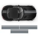 Bold Racing Stripes, MB AMG GTS yellow black