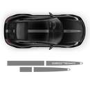 Racing Decals set in one color, Carrera