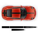 Racing Decals set in two colors, Carrera