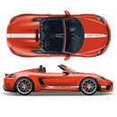 Racing Decals set in one color, for Spyder 2005 - 2020