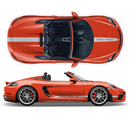 Racing Decals set in one color, for Spyder 2005 - 2020
