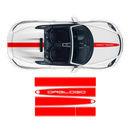 Racing Decals set in one color, for Spyder 2005 - 2020