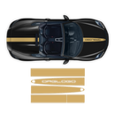 Racing Decals set in one color, for Spyder 2005 - 2020