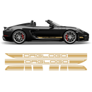 Racing Decals set in one color, for Spyder 2005 - 2020