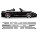 Racing Decals set in one color, for Spyder 2005 - 2020