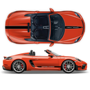 Racing Decals set in two colors, for Spyder 2005 - 2020