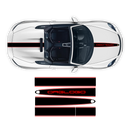 Racing Decals set in two colors, for Spyder 2005 - 2020