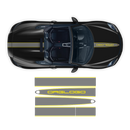 Racing Decals set in two colors, for Spyder 2005 - 2020