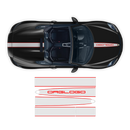 Racing Decals set in two colors, for Spyder 2005 - 2020