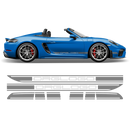 Racing Decals set in two colors, for Spyder 2005 - 2020