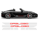 Racing Decals set in two colors, for Spyder 2005 - 2020