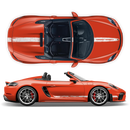 Scratched Racing Stripes set, for Spyder 2005 - 2020 black