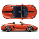Scratched Two Colors Racing Stripes set, for Spyder 2005 - 2020