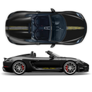 Scratched Two Colors Racing Stripes set, for Spyder 2005 - 2020