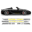 Scratched Two Colors Racing Stripes set, for Spyder 2005 - 2020