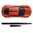 Racing stripes set in two colors, for Porsche Taycan
