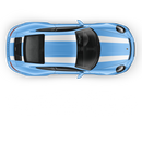 R Stripes Over The Top, Carrera 2005 - 2019 black