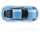 Sport Cup Edition Racing Stripes Set, Carrera